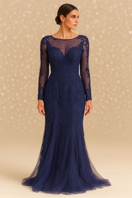 Blue Laced Elegant Dress